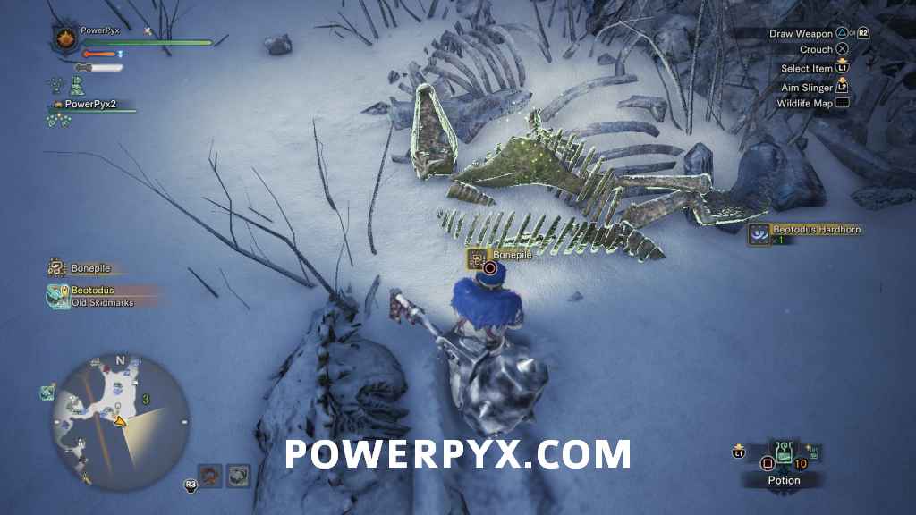 mhw frozen bone