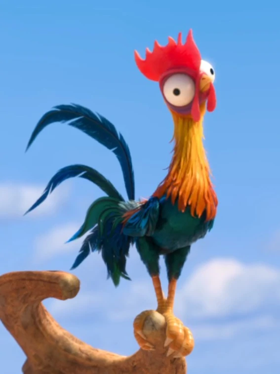 pollo de moana