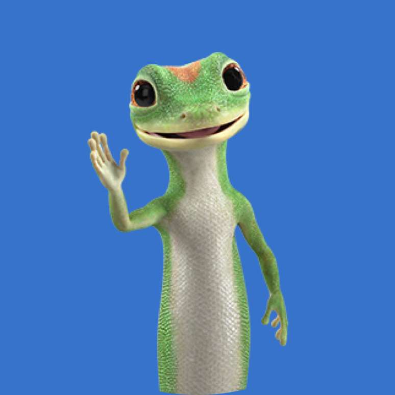 geico car insurance