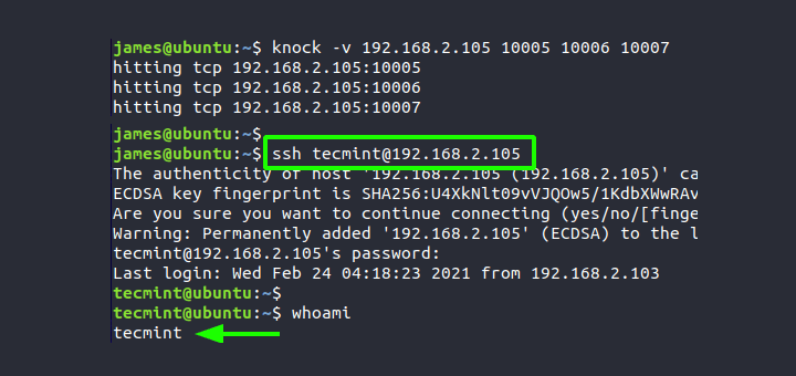 putty port knocking