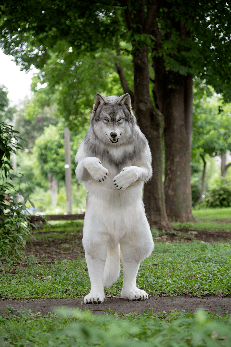 wolf costumes