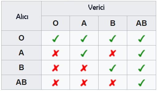 genel verici kan grubu hangisi