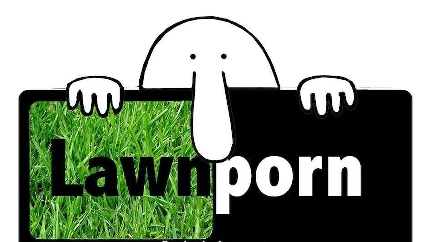 lawnporn