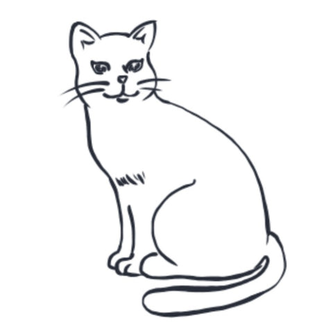 dessins chats faciles