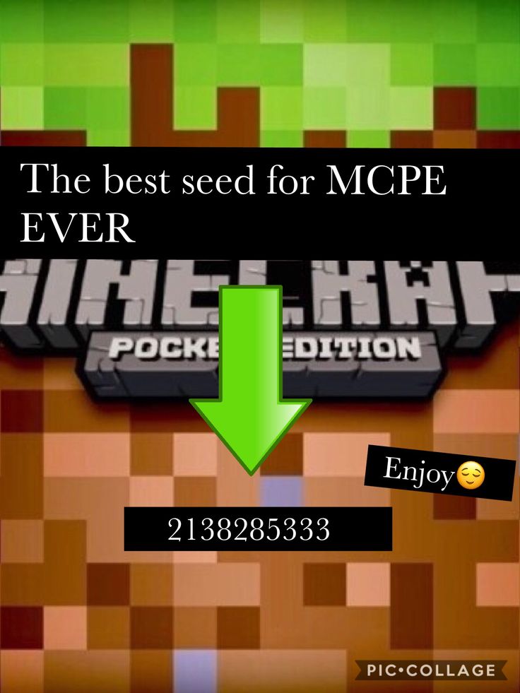 seed pe minecraft