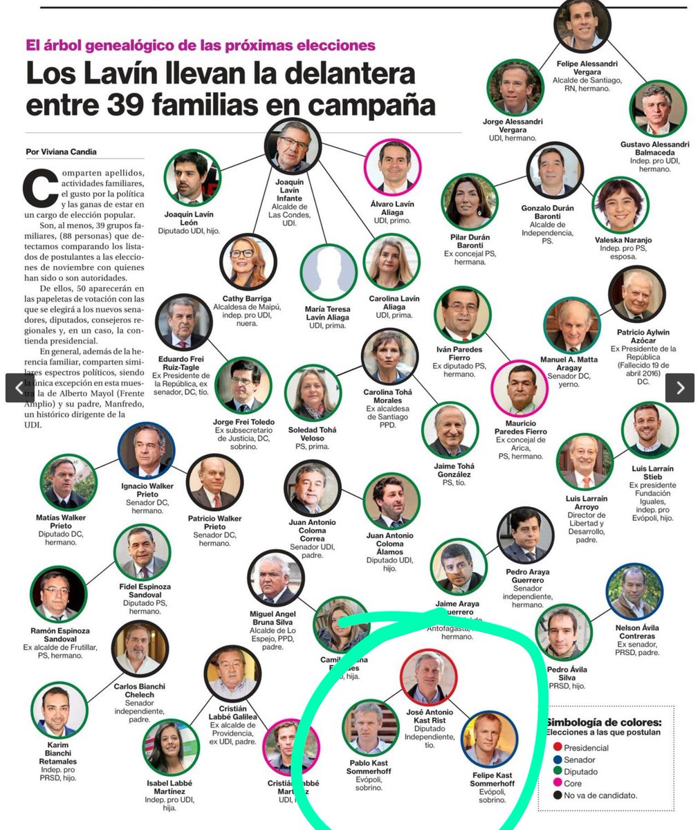 arbol genealogico de la familia camil