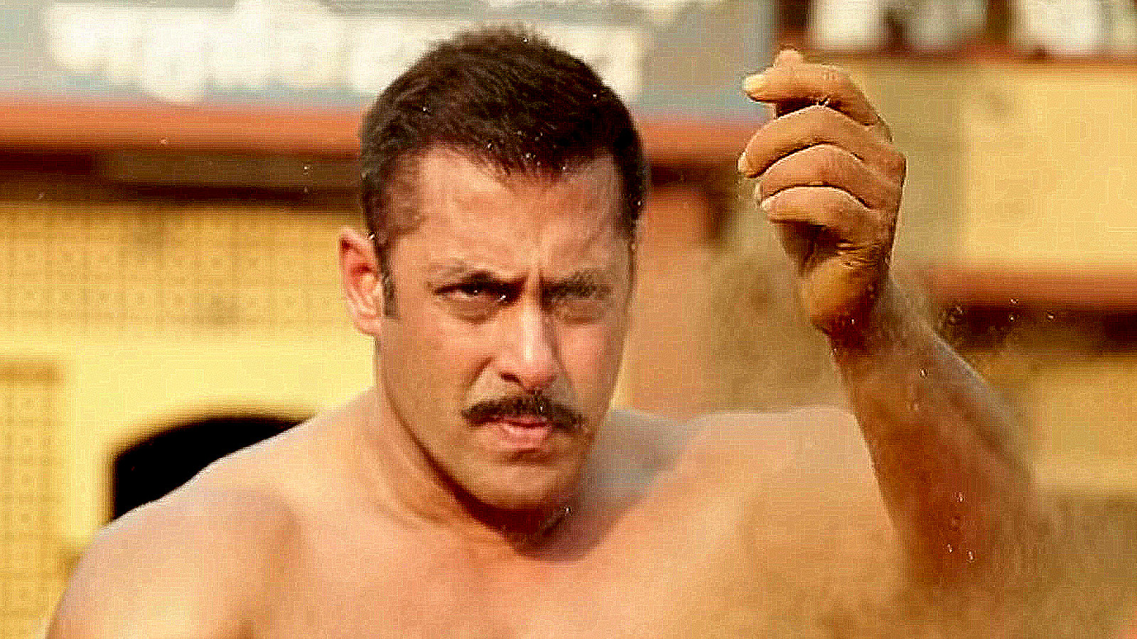 sultan movie download 1080p