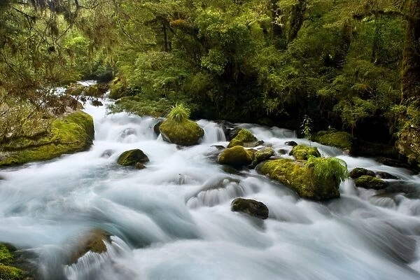 the river wild torrent