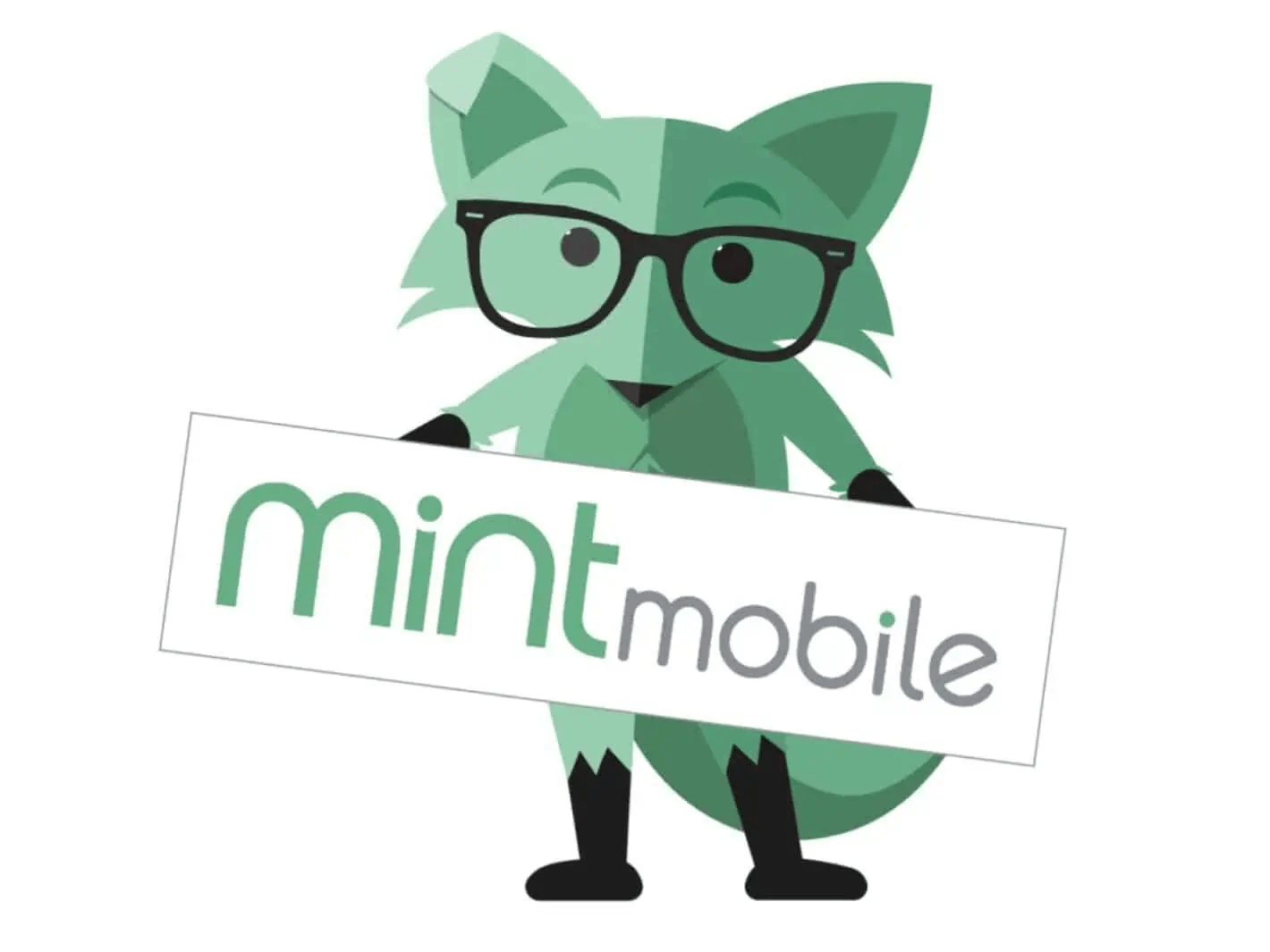 mint mobile unnecessary plan