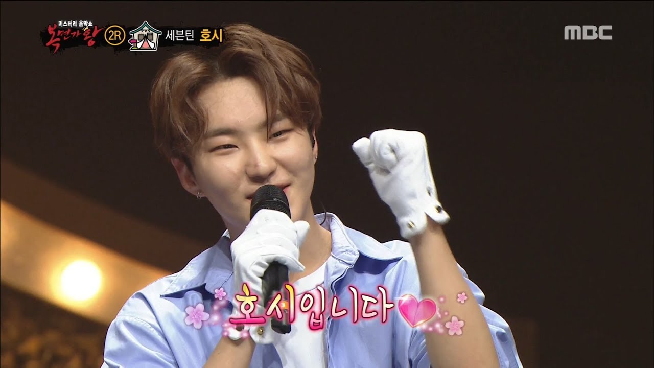 king of masked singer hoshi