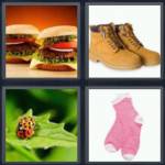1 pics 1 word 4 letters