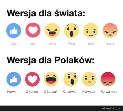 kurva polish meaning