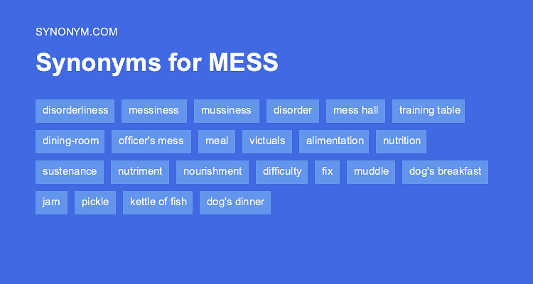 synonyms for a mess