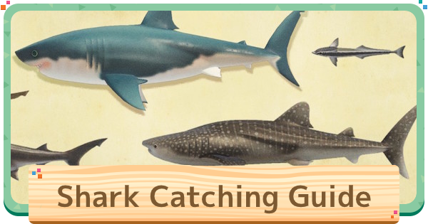 how rare are sharks in animal crossing