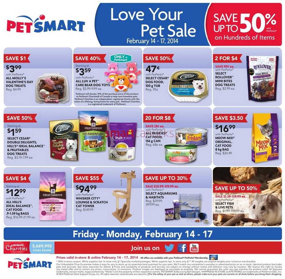 pet smart flyer