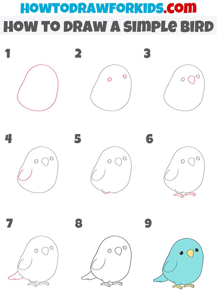 how to draw a simple bird