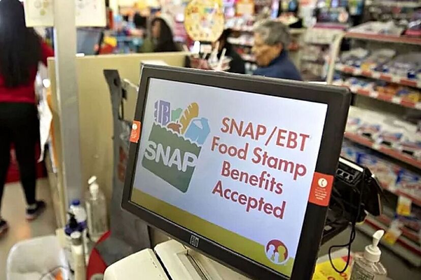 snap increase 2023 chart michigan