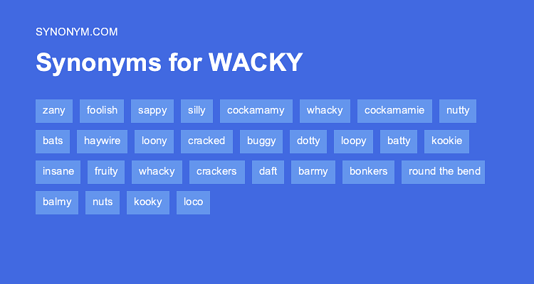 synonyms of wacky