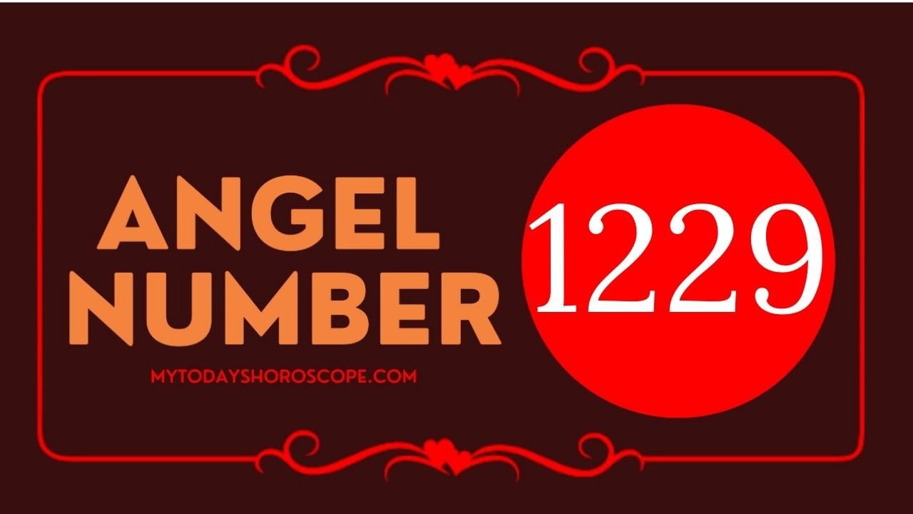 1229 angel number