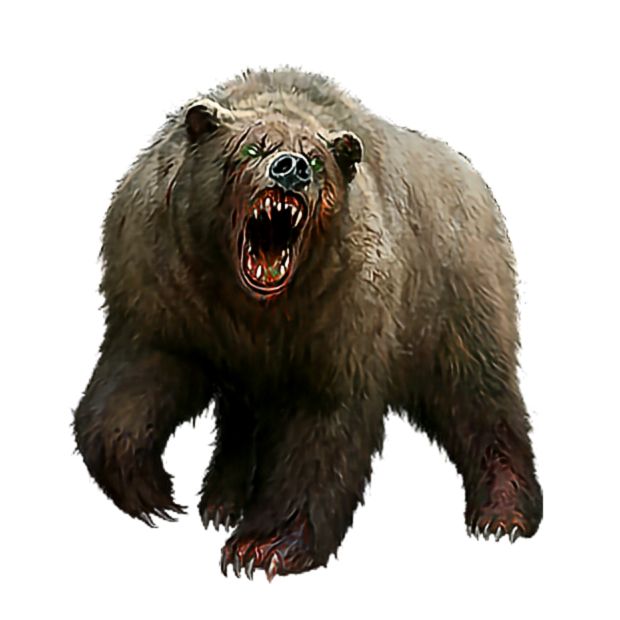 grizzly bear 5e