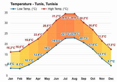 temperature in tunisia today