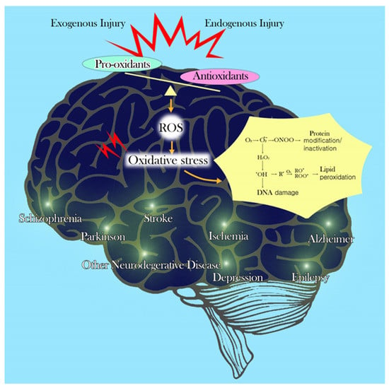 neuroprotective