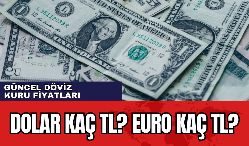 95 dolar kaç euro