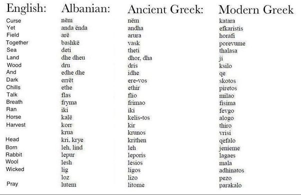 bad words in albanian