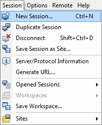 winscp session options