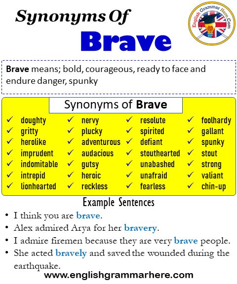 brave synonyms in english