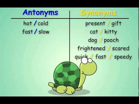 antonyms for share