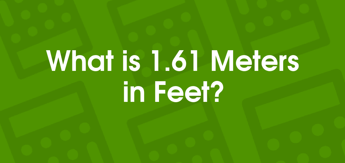 1.61 meters to feet