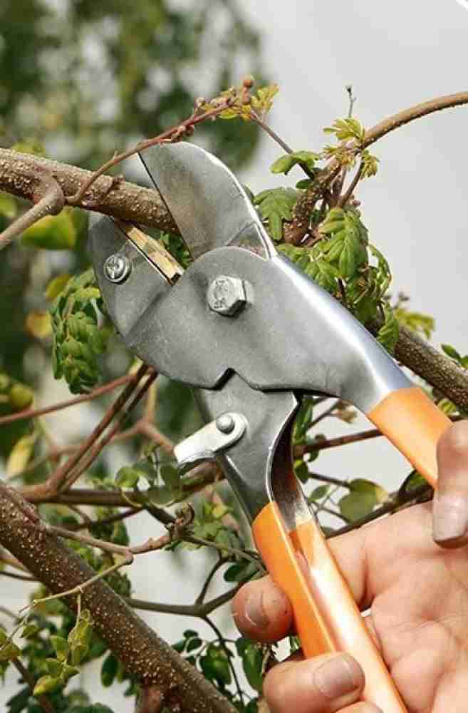 plant cutter price