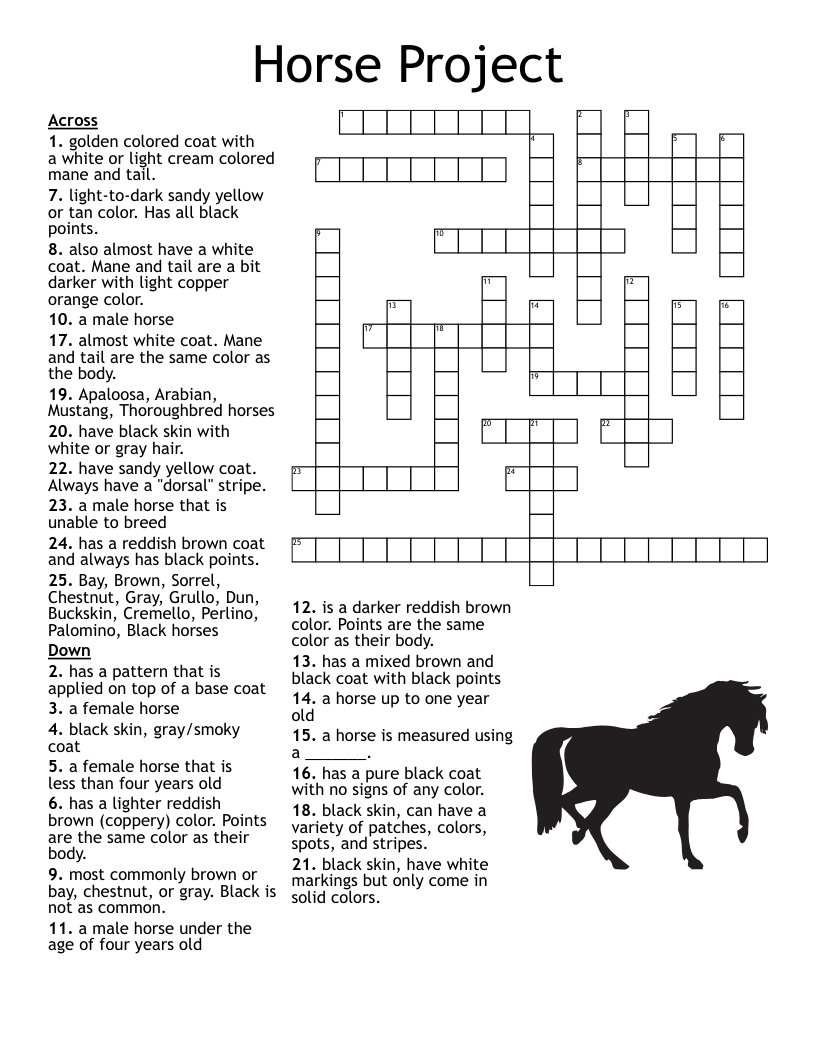 small horse crossword clue