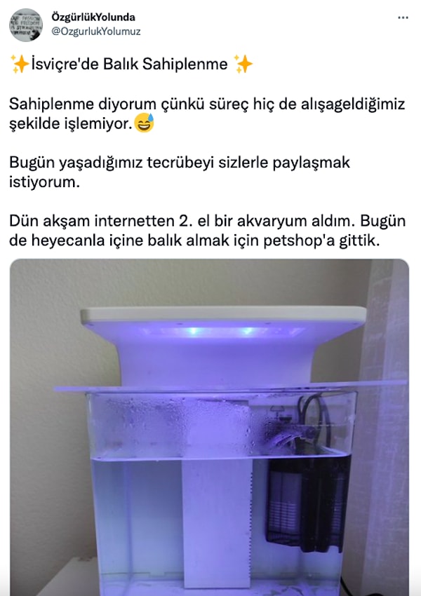 balık sahiplenme