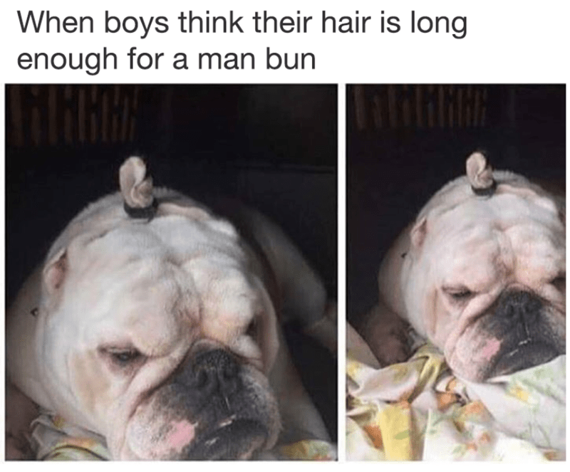 man bun meme