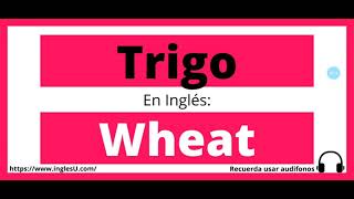 como se dice trigo en inglés