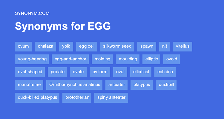egg thesaurus