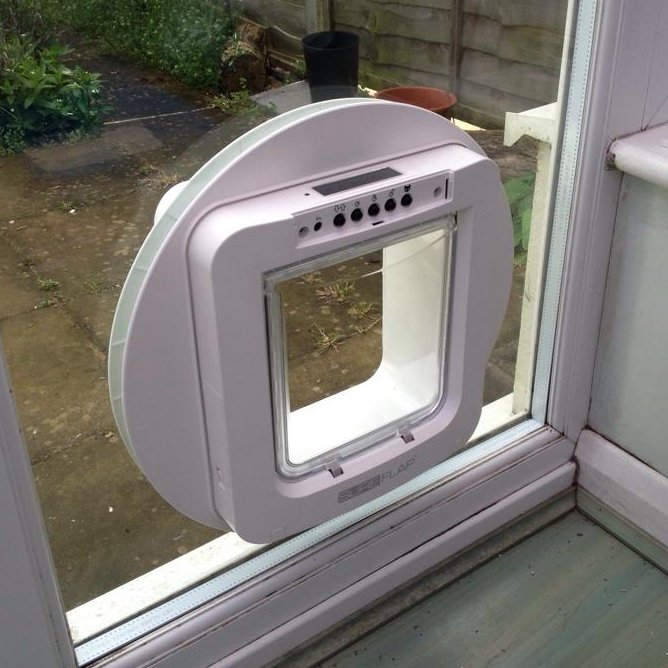 cat flap fitting near me