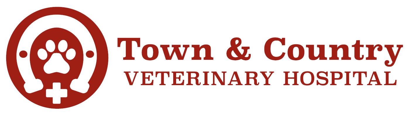 town and country veterinary group