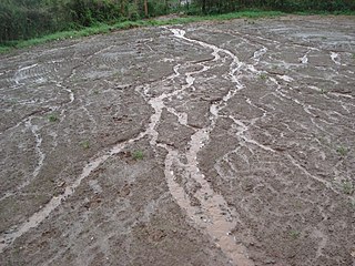 soil erosion meaning in malayalam