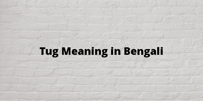 tug meaning in bengali