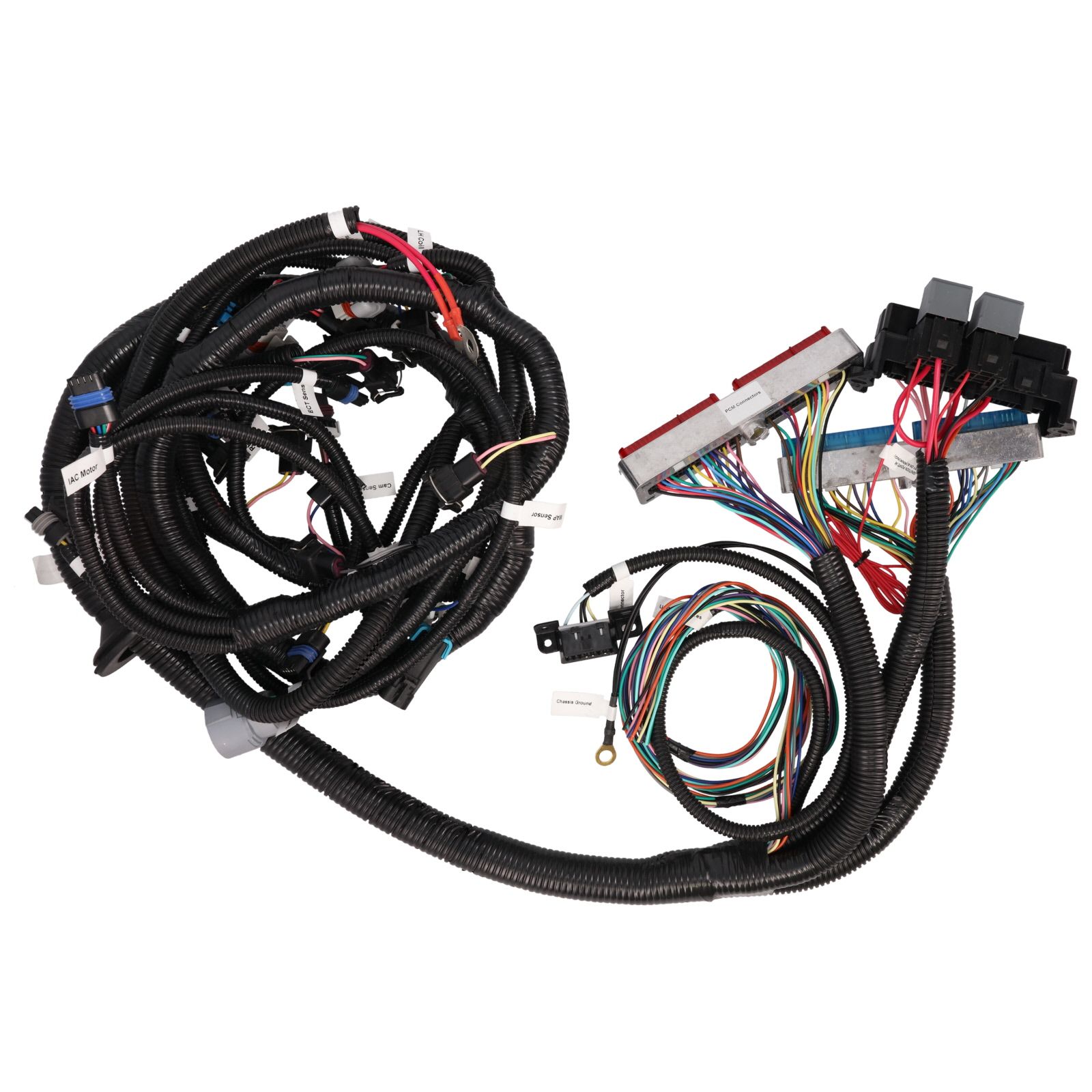 stand alone ls engine harness