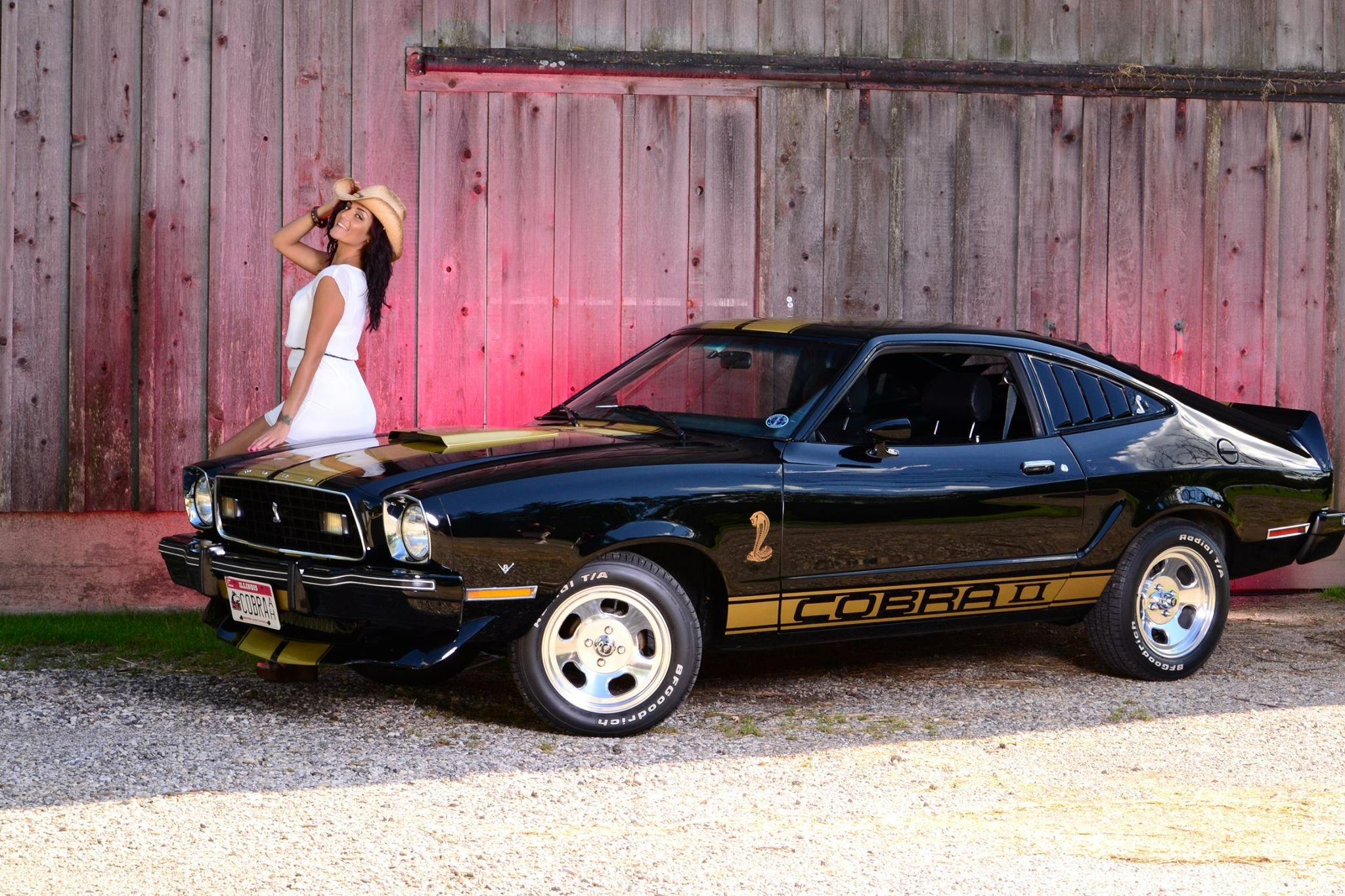 mustang ii king cobra body kit