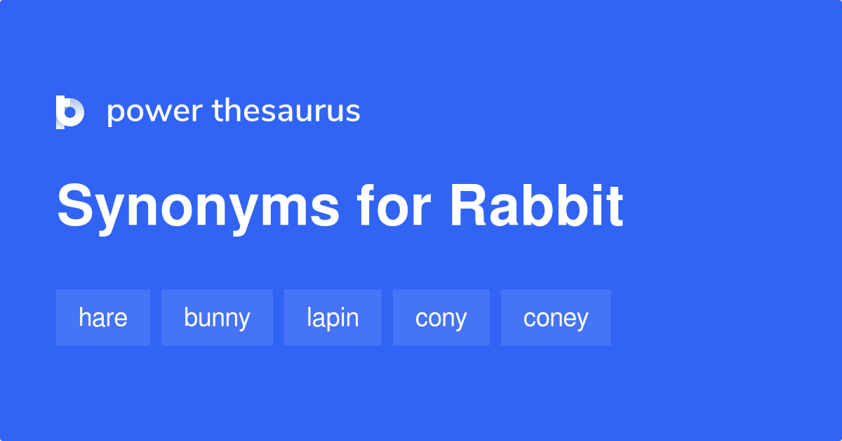 thesaurus rabbit