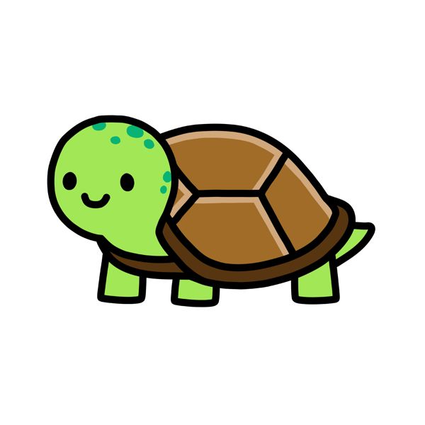 dibujo turtle