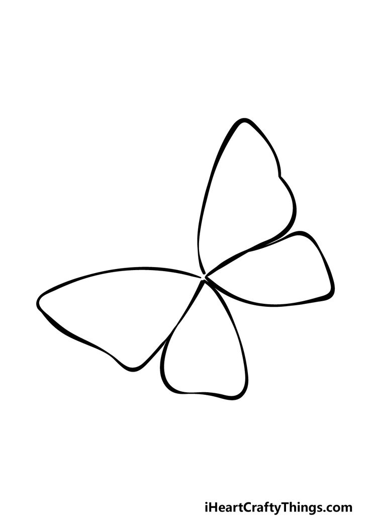 butterfly draw easy