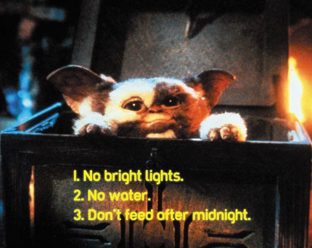 gremlins quotes