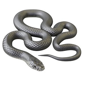 blender snake model free download
