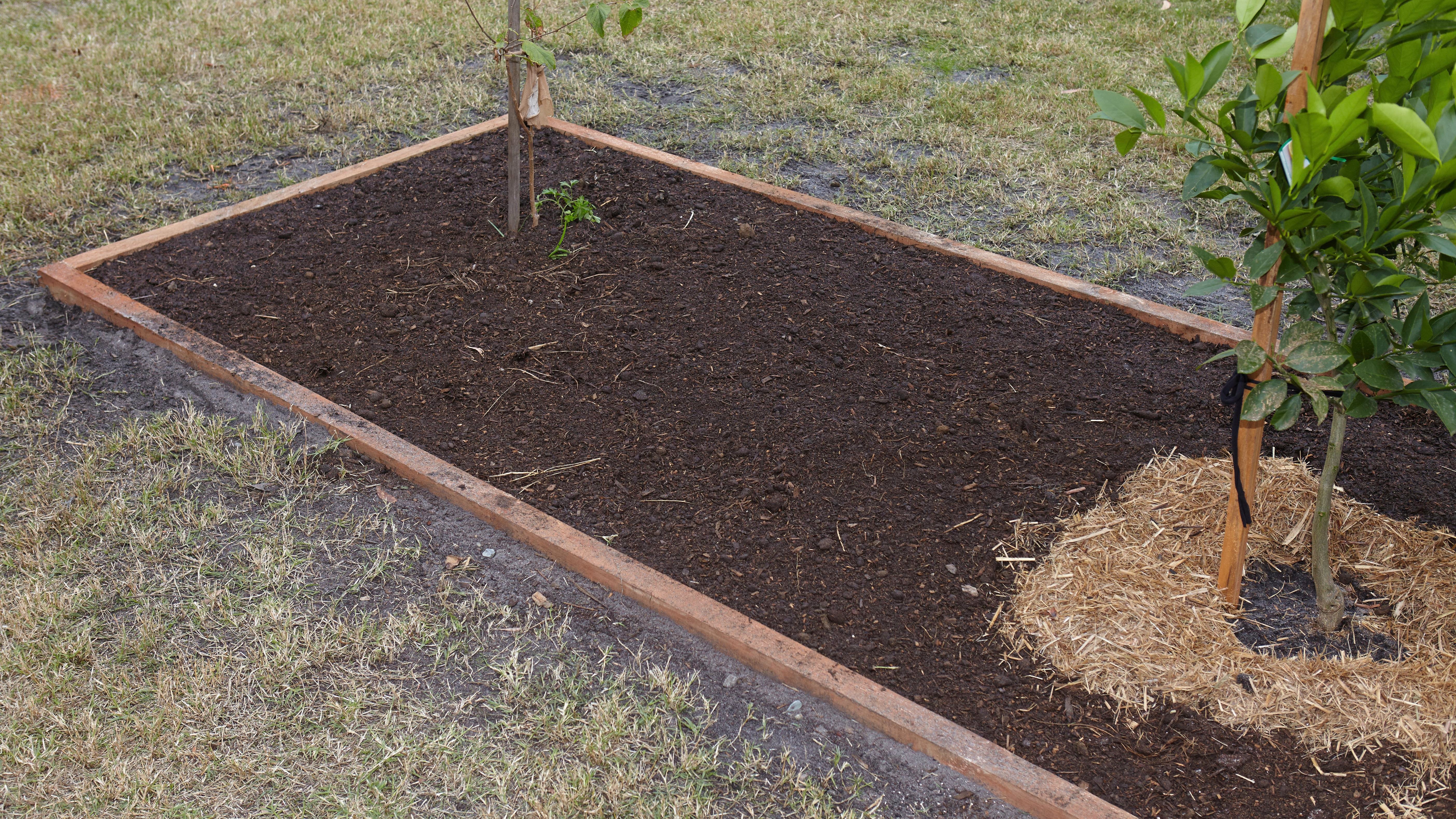 best soil for vegetable garden bunnings